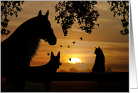 thank You for Pet Sitting Horse, Dog and Cat card