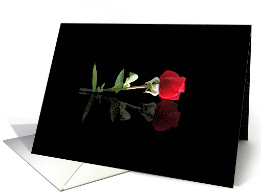 Missing You SIngle Red Rose Pretty Flower Missing You card (636456)