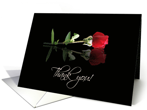 Thank You Beautiful Red Rose Formal card (636459)