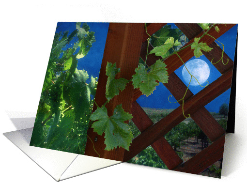 grapevine on lattice with full moon, blank note card (636506)
