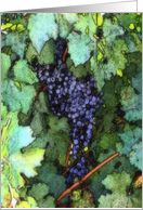 grapevine with grapes, blank note card