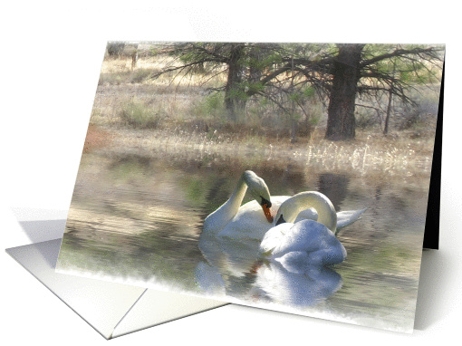 annoucement of elopement, swan couple card (644512)