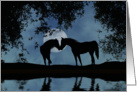 horse in moonlight, elopement annoucement card