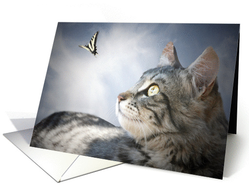 thank you for cat sitting, cat and butterfly card (654844)