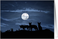 Full Moon Halloween, coyote, wolf card