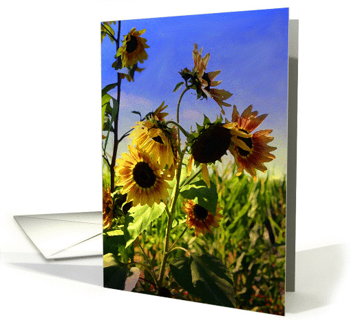 Sunflower and Blue Sky Thank You card (693552)