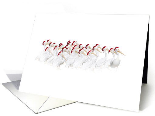 Cute and Fun Happy Holidays White Pelicans in Santa Hats card (695277)