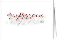 Cute and Fun Happy Holidays White Pelicans in Santa Hats card