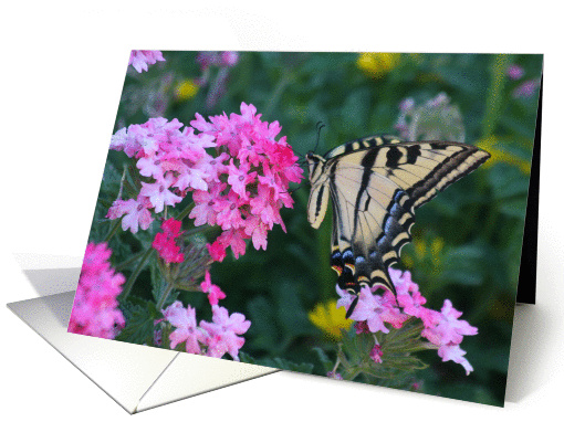 Beautiful Butterfly and Flower Thank You card (695399)