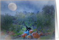 Kitty in the Pumpkin Patch with Witch Hat Halloween Greeting card