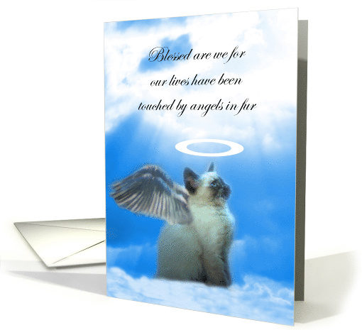 Kitty Cat Angel Sympathy, Loss of Cat, Siamese Cat Sympathy, card