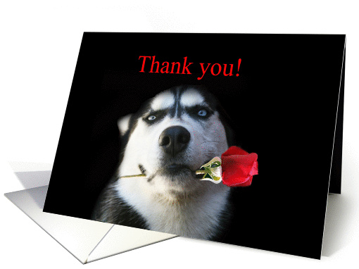 Very Cute Pet Sitting Thank You card (697738)