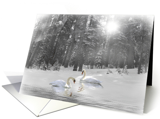 Swans in Lake and Snow Christmas card (698161)