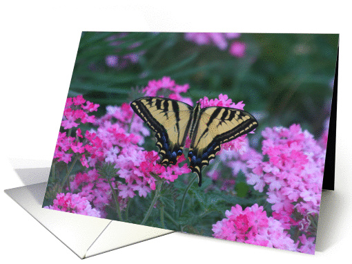Butterfly with pink flowers blank note card (698481)