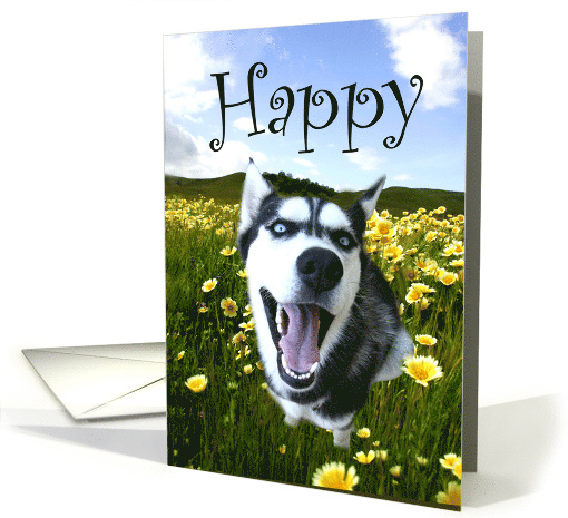 Happy Birthday Husky dog card (698535)