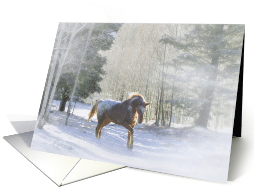 Snow Appaloosa Horse Christmas Holiday card (703215)