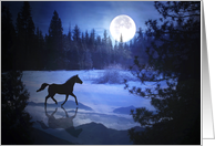 Horse Dashing Through the Snow and Full Moon card