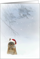 Merry Christmas Chipmunk in Snow card