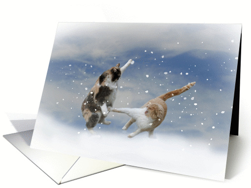 Cat's Christmas Snow Ball Fight card (709970)