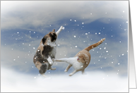 Cat’s Christmas Snow Ball Fight card