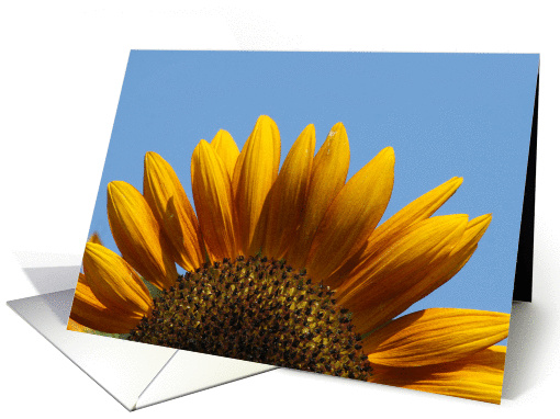 sunflower note card (711946)
