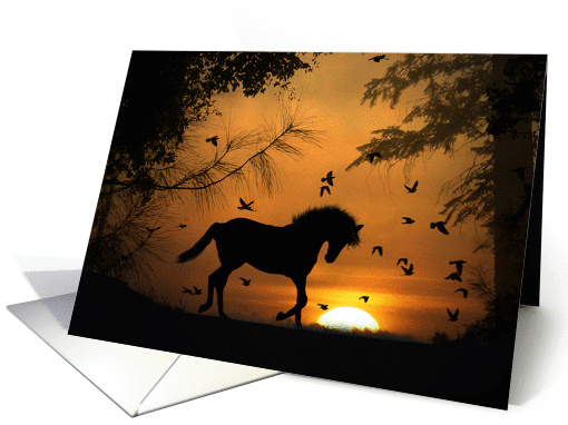 horse blank note card (711950)