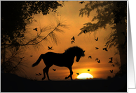 horse blank note card
