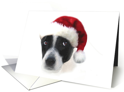 Cute Black and White Puppy with Santa Hat Merry Christmas card