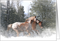 Horses in Snow Merry Christmas card