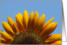 sunflower thank you card