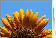 Fun Sunflower Happy Birthday card