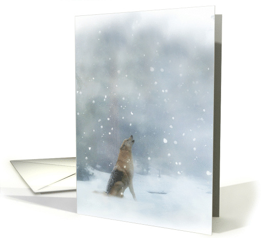Wolf in the Snow Christmas Holiday Pretty Snow Scene card (716841)