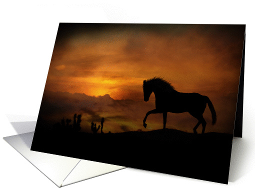 horse sunset blank card (718243)