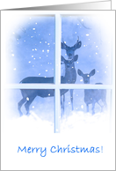 Merry Christmas Deer in Window card