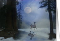 Beautiful Doe in Snow and Moon Nature Christmas Holiday card