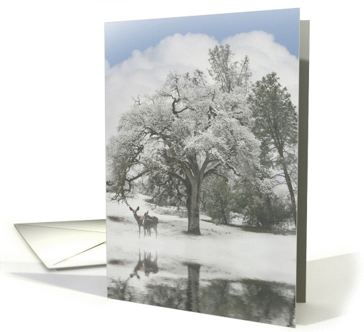 Christmas Deer and Oak Tree Winter Scene card (731260)