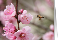 bee and flower thank you card