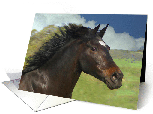horse blank card (796760)