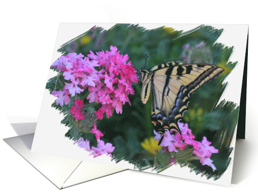 Swallow Tail and Flowers Colorful and Pretty Happy Birthday card