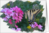 Swallow Tail and Flowers Colorful and Pretty Happy Birthday card