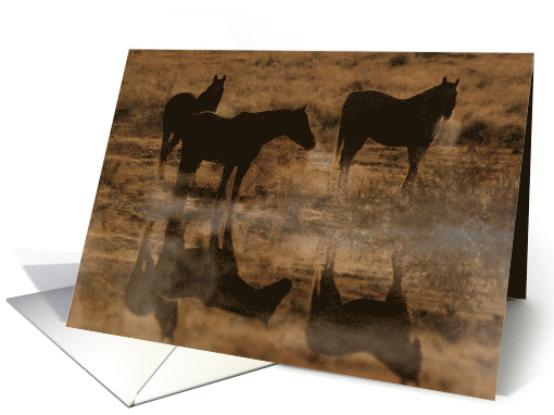 Horse Blank Note card (819157)
