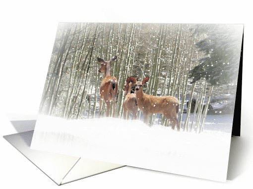 Christmas Deer Family in the Snow Seasons Greetings card (868277)