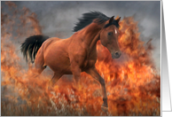 Arabian horse running through fire card