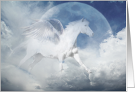 White Pegasus Horse...