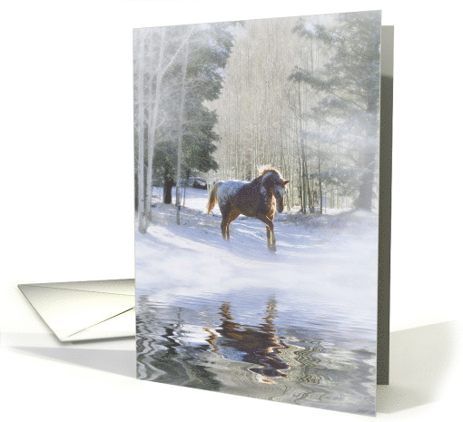 Seasons Greetings Appaloosa Horse in the Snow, Pretty Seasons card