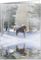 Seasons Greetings Appaloosa Horse in the Snow, Pretty Seasons card