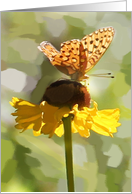 Butterfly and flower birthday card