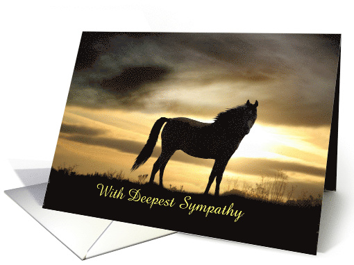 Deepest Sympathy, Horse Silhouette in Sunset Custom card (881748)