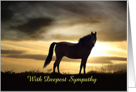 Deepest Sympathy, Horse Silhouette in Sunset Custom card