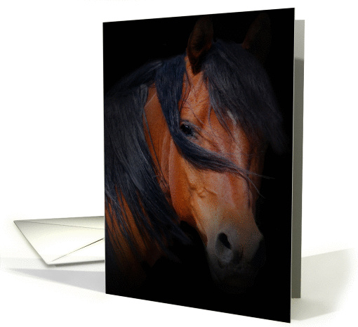 Horse's Spirit Sympathy card (919862)